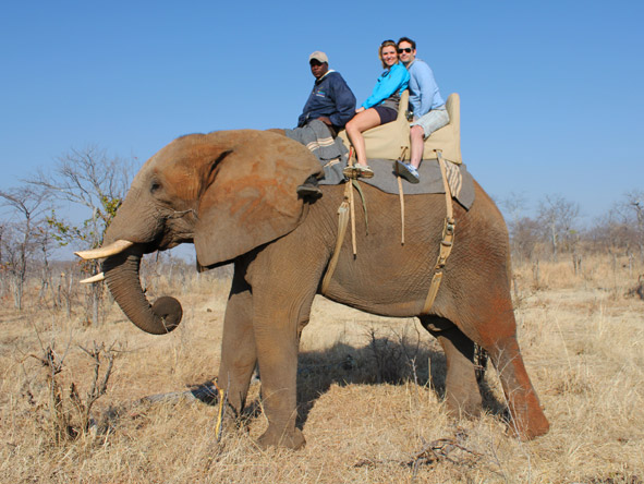 Ashley Groenevelt - elephant back safari at Vic Falls